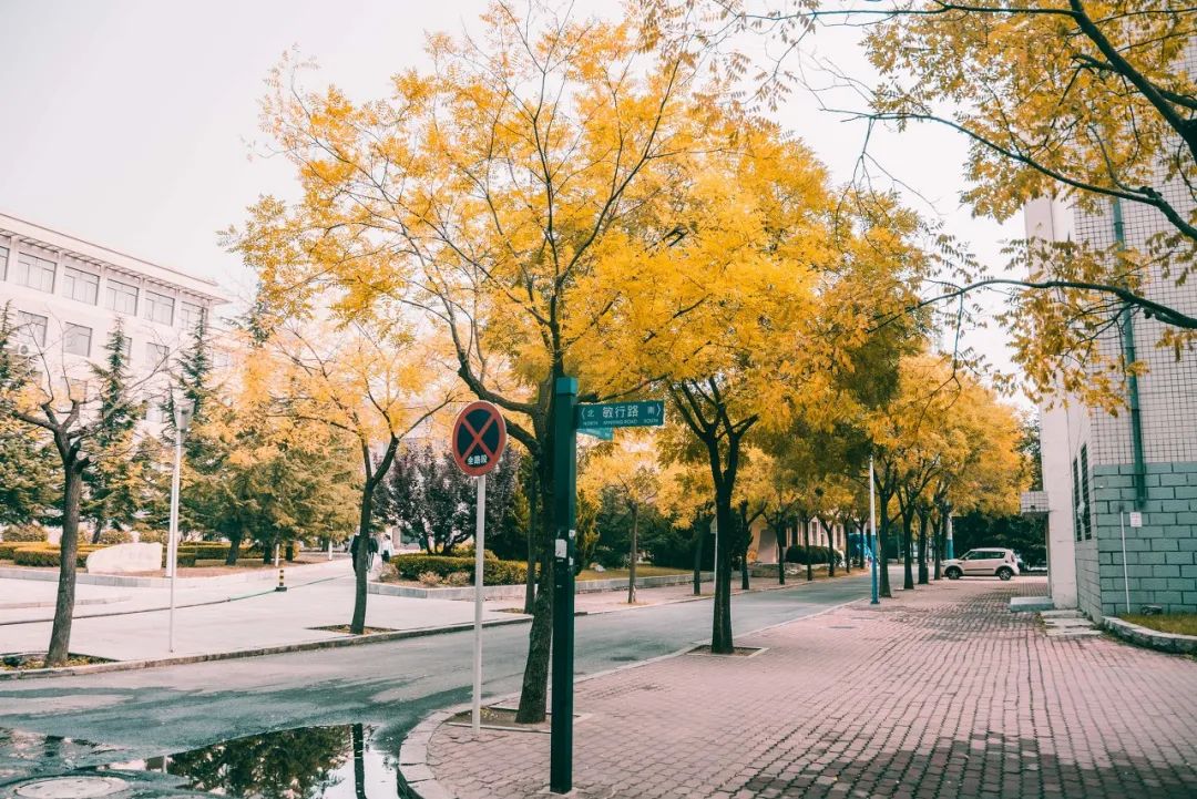 突然就想去成都了,突然想去青岛了