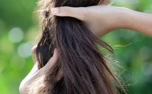 头发枯黄和气血不足有关吗,头发干枯稀少是肾虚吗