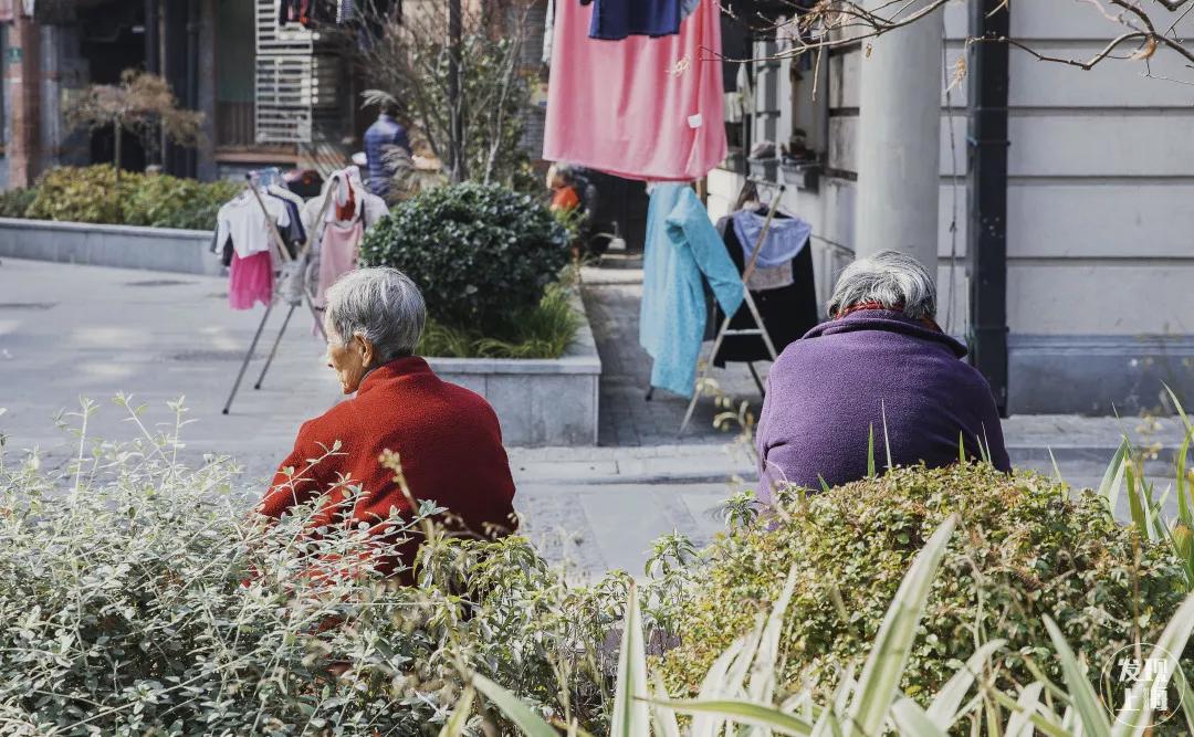 对不起！你对乍浦路一无所知