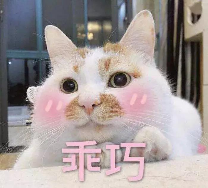 喵星人的反应能力超出常人,喵星人战斗力有多强