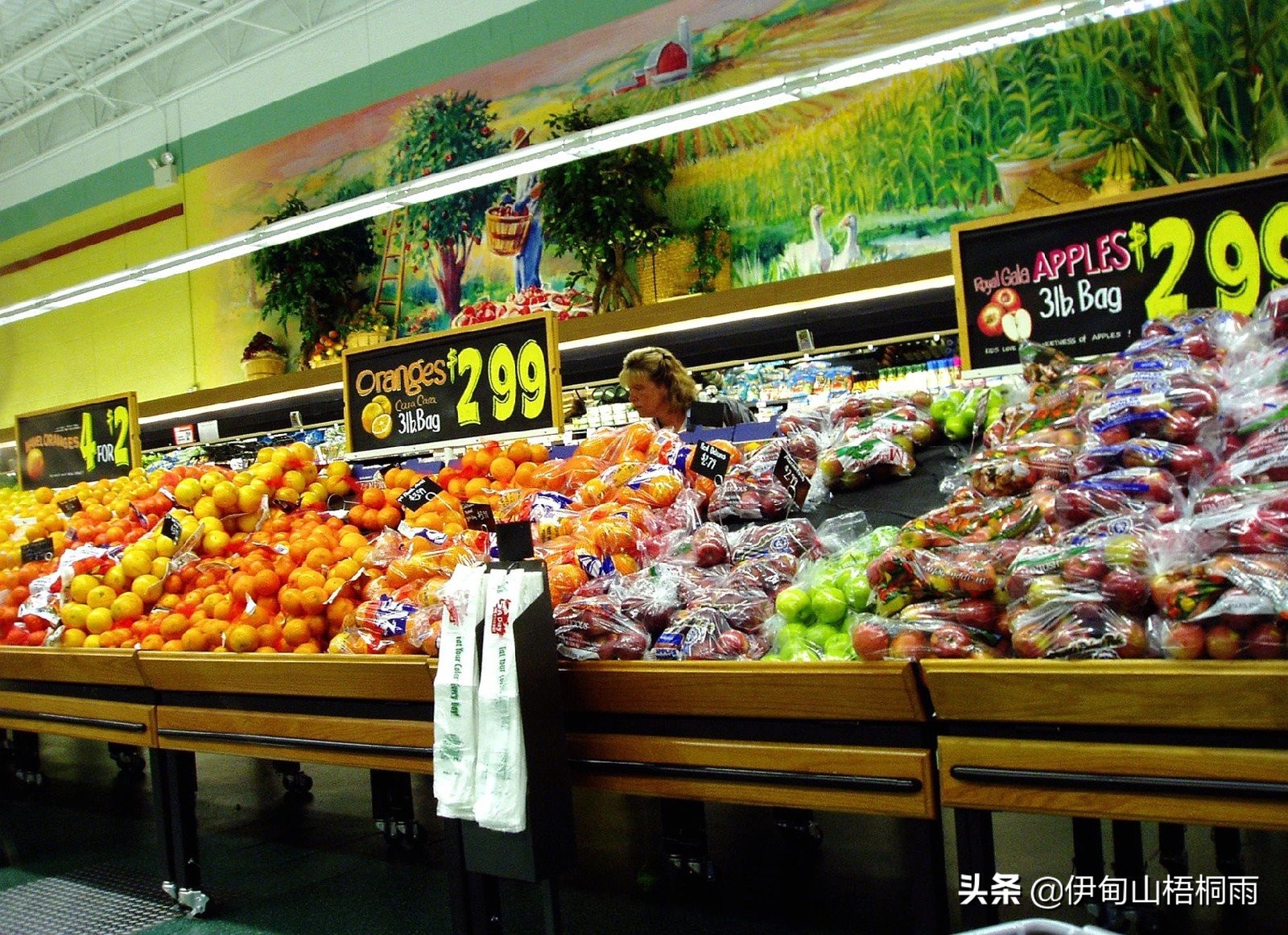 出国新西兰靠谱吗,现在出国新西兰怎么样