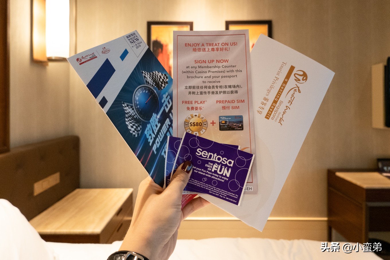 5年之许,小白逆袭重返新加坡