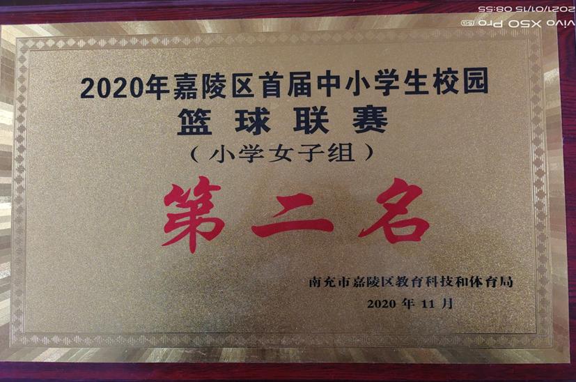 南充市嘉陵区农村视频,南充嘉陵哪个乡镇好