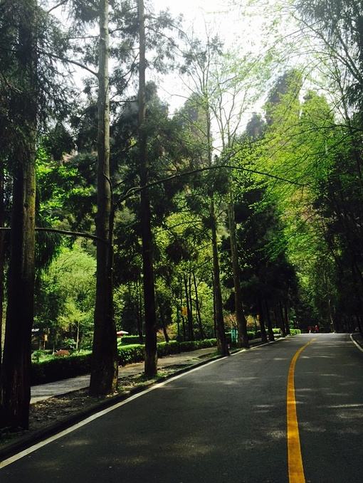 张家界旅拍攻略_张家界婚纱摄影好地方