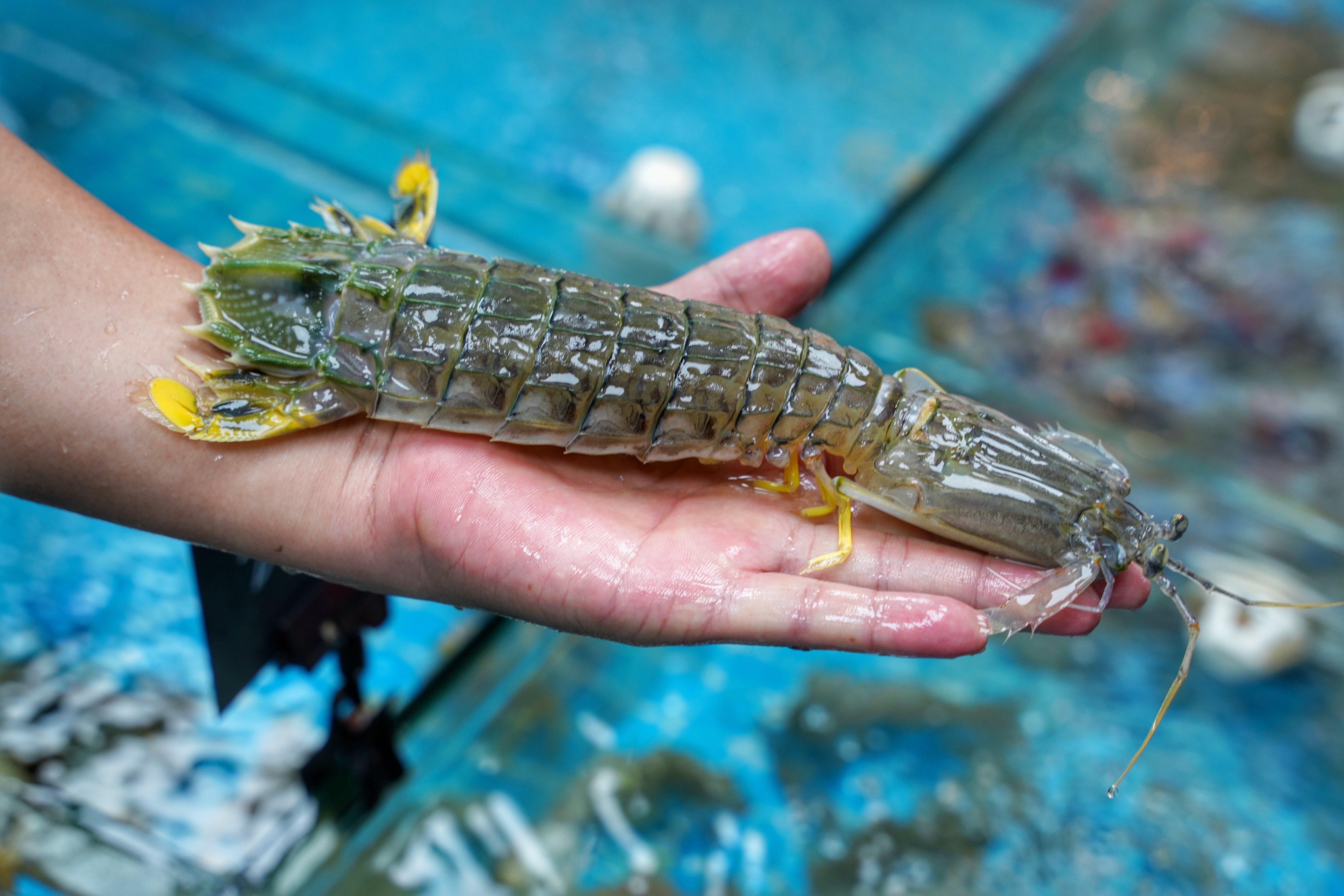 本地人都知道的海鲜大排档，都说来过还想再来