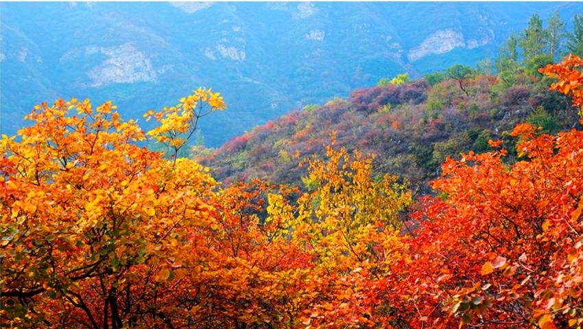 北京赏秋十大打卡地,北京赏秋