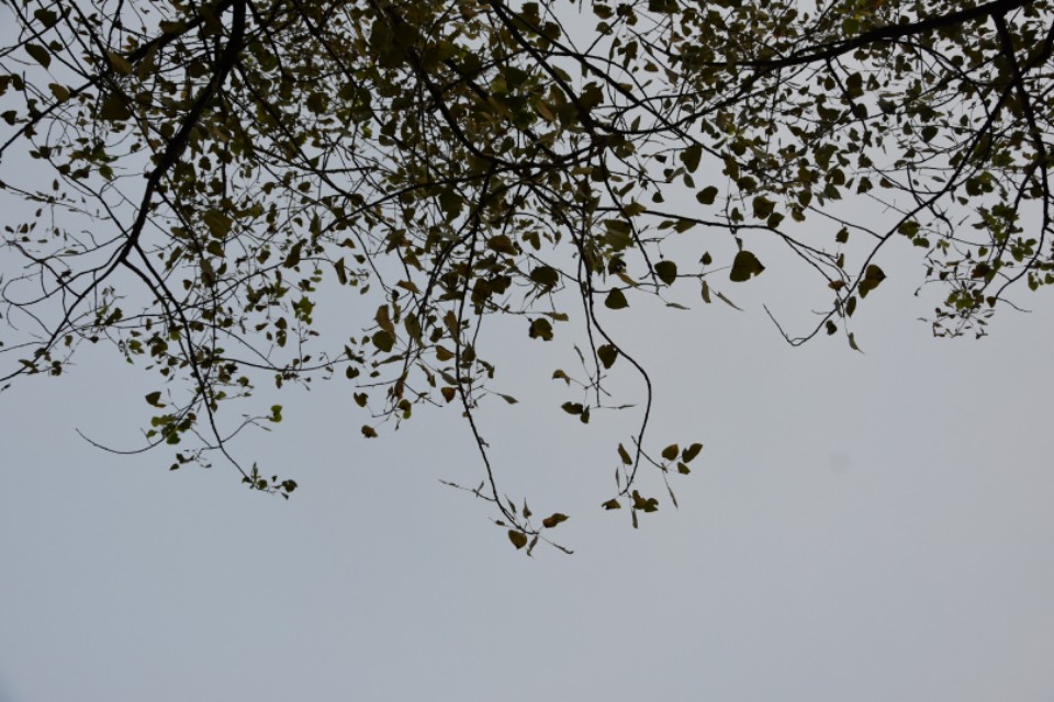 黑暗时期黎明的曙光,黑暗时代的光亮解析