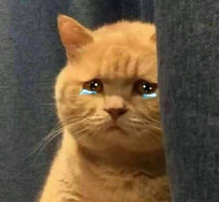 女演员转行做生意,卖房工作真的很赚钱吗