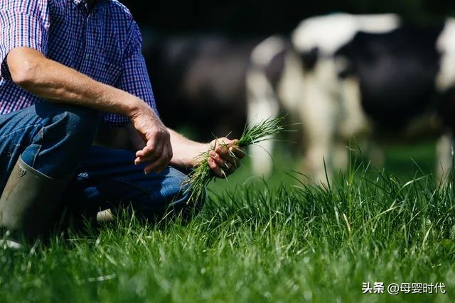 婴配粉2023市场占比,婴配奶市场份额