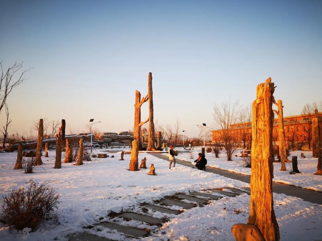 初见长春,第一次雾凇之旅不虚此行