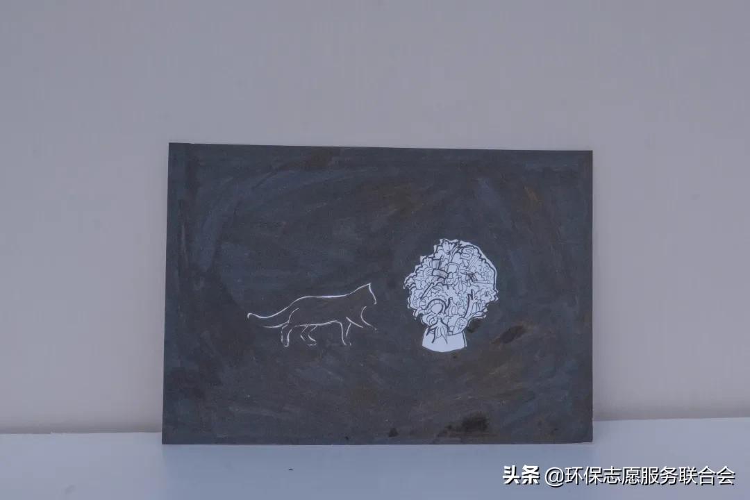 成都高校生态环境大联盟｜废旧物创意设计—四川国际标榜职业学院