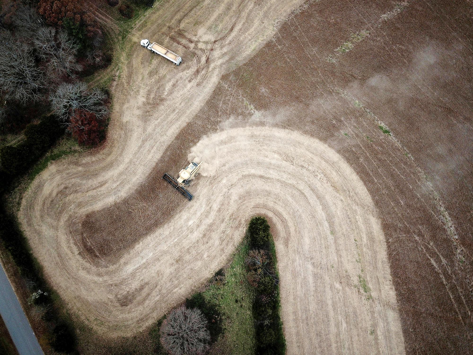 “我们不会放弃中国市场”：超50万吨美国大豆实现对华出口，豆农期待正常贸易交往