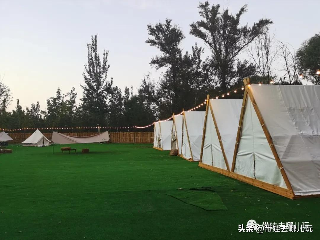 北京五环内新开萌宠乐园，除了喂动物，还能玩大滑梯、免费享帐篷