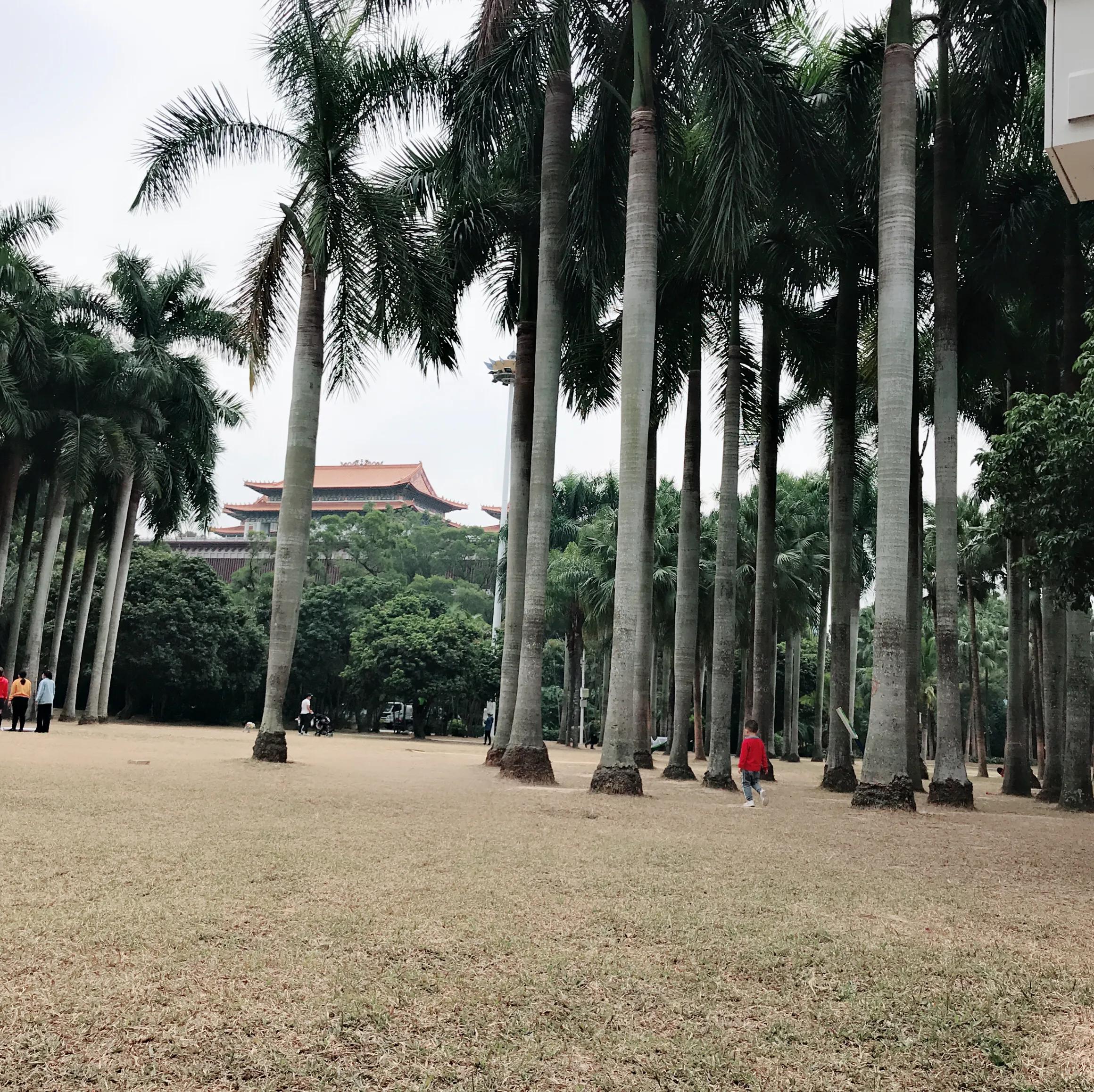 閬涘▋濂藉幓澶勮強鑺卞睍,娣卞湷閬涘▋鐪嬪睍