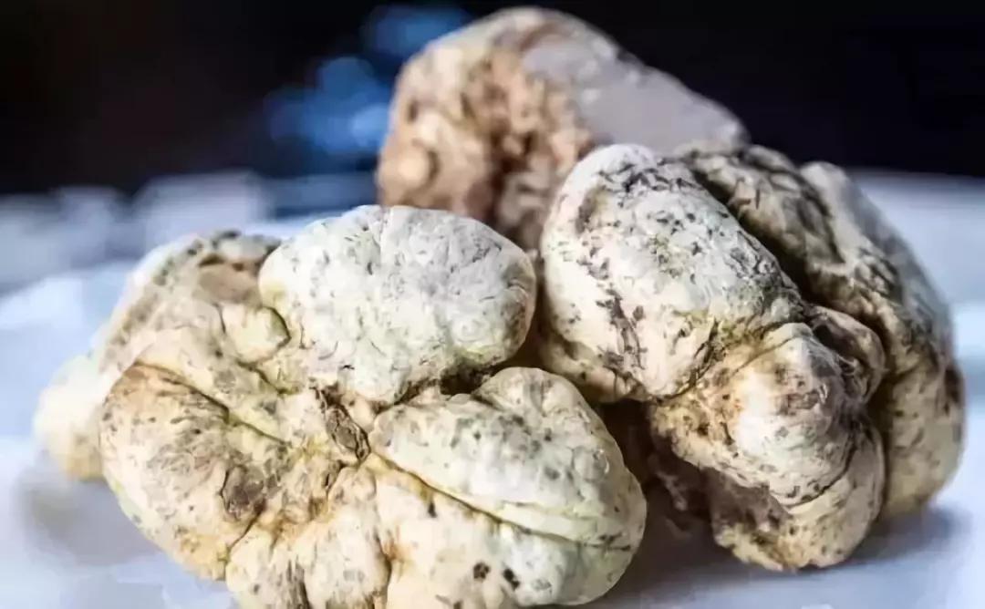 盘点世界最贵的是什么,世界上最贵的是什么你知道吗