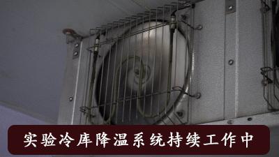 保暖鞋黑科技零下30度穿户外,太空保暖鞋