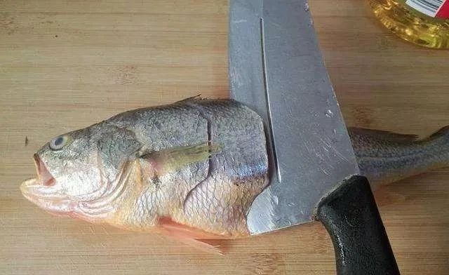 盘点26种花刀技法的厨师工资,烹饪专业刀工绝活让你大开眼界