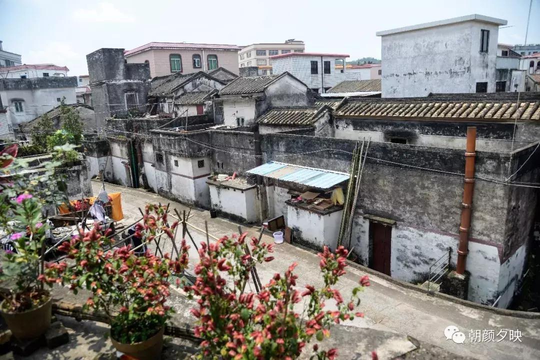 岐阳梧桐起凤环，鹭兮鹭兮寻不见（上）