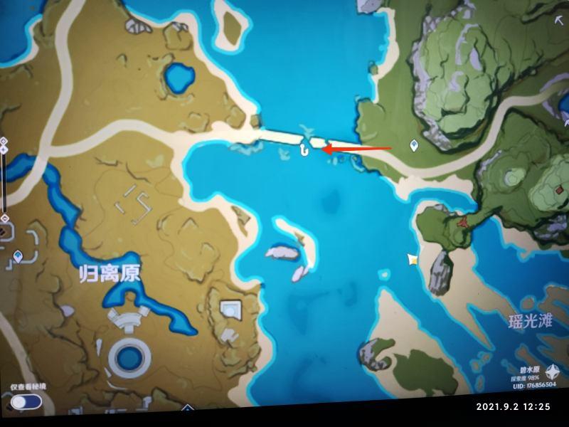 原神解锁20个鱼类图鉴怎么完成,原神最肝的世界任务