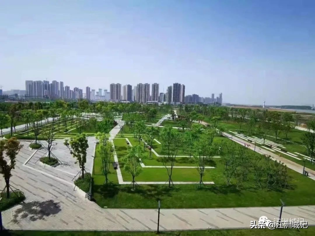 芳草萋萋汉水边,杨泗港大桥江滩公园网红打卡地