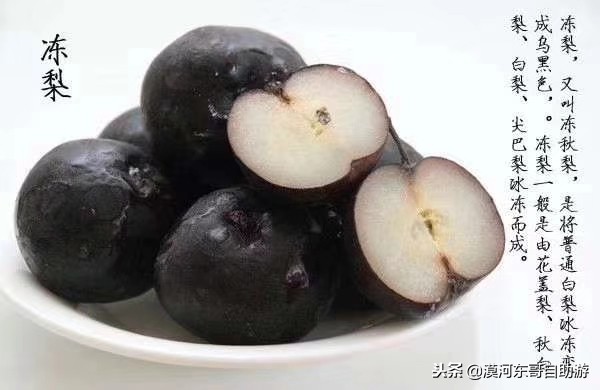 漠河极寒之旅,漠河遇到熊