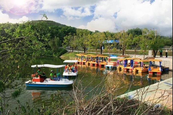 来喽·惠州候鸟印度洋风情别墅~网红泳池+休闲单车、农家特色菜