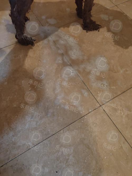 草莓洗澡用的沐浴露,女生草莓味沐浴露