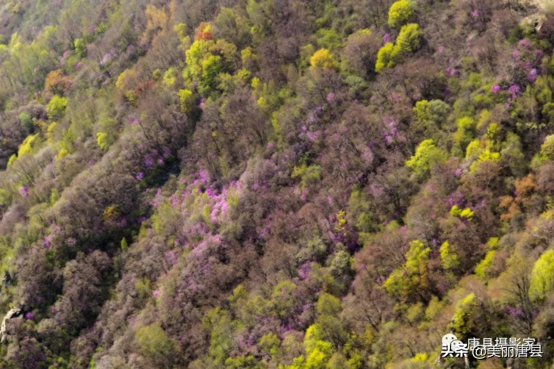 尧乡唐县,唐县自然风景区