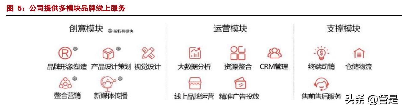 壹网壹创凭什么说前景巨大,壹网壹创未来十年潜力巨大