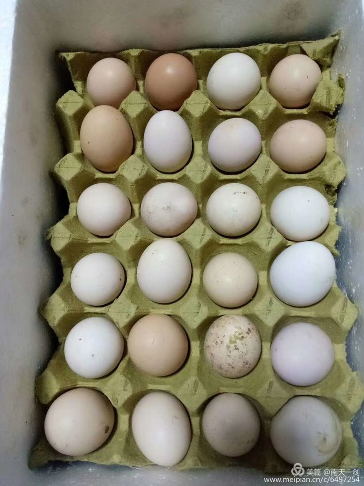 种农高手,农业高手