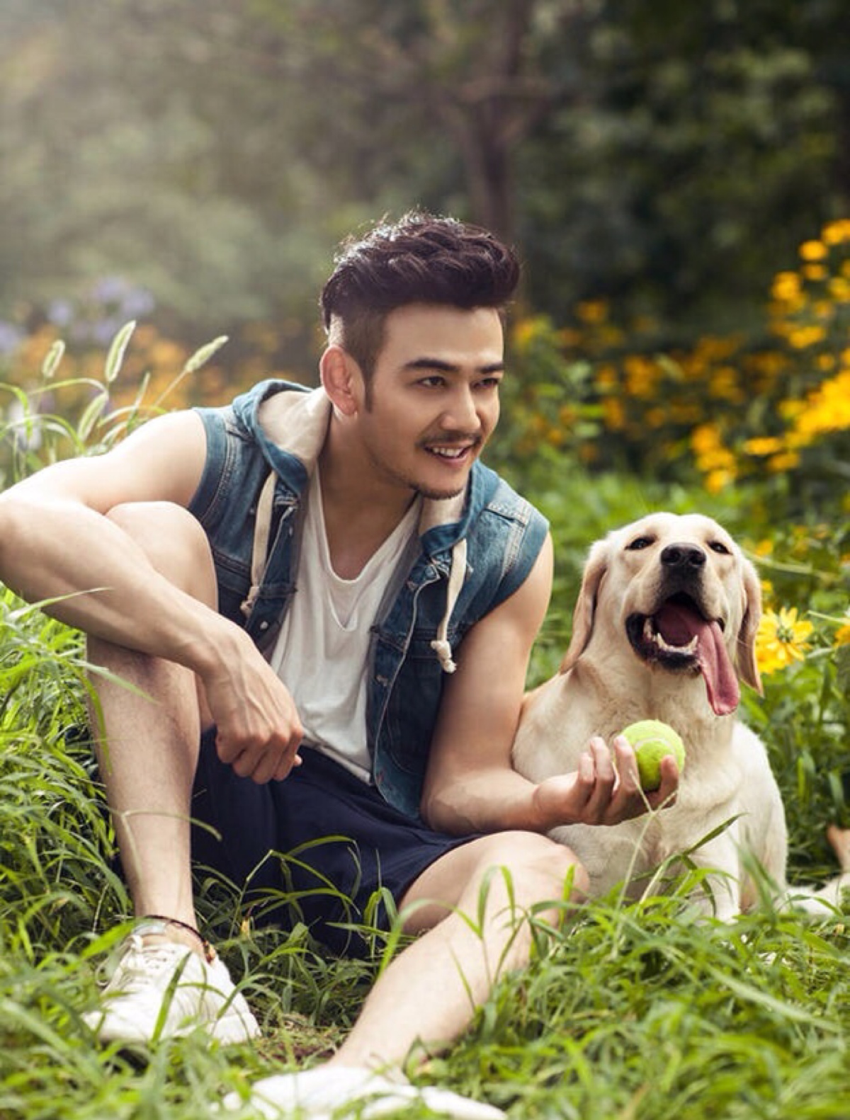 杨烁为什么这几年不红了,杨烁为什么突然不红了