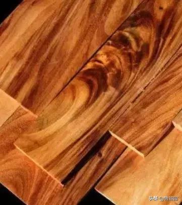 “高贵而奇异”,100多年方能成材的金*欢合**木是怎样一种存在?