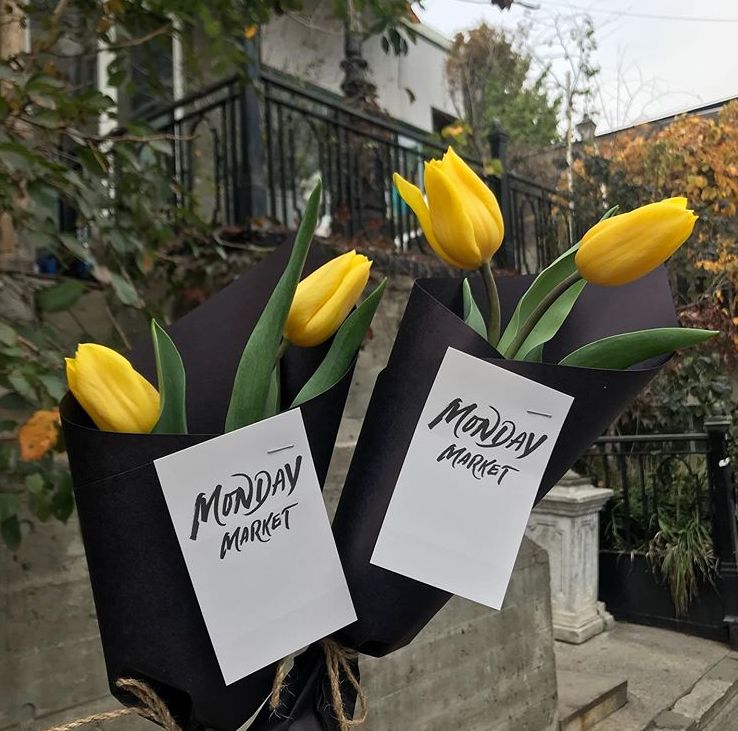 閮侀噾棣欑鐞冪殑鍏绘姢鏂规硶,姘村煿閮侀噾棣欏彂鑺藉悗鍏绘姢