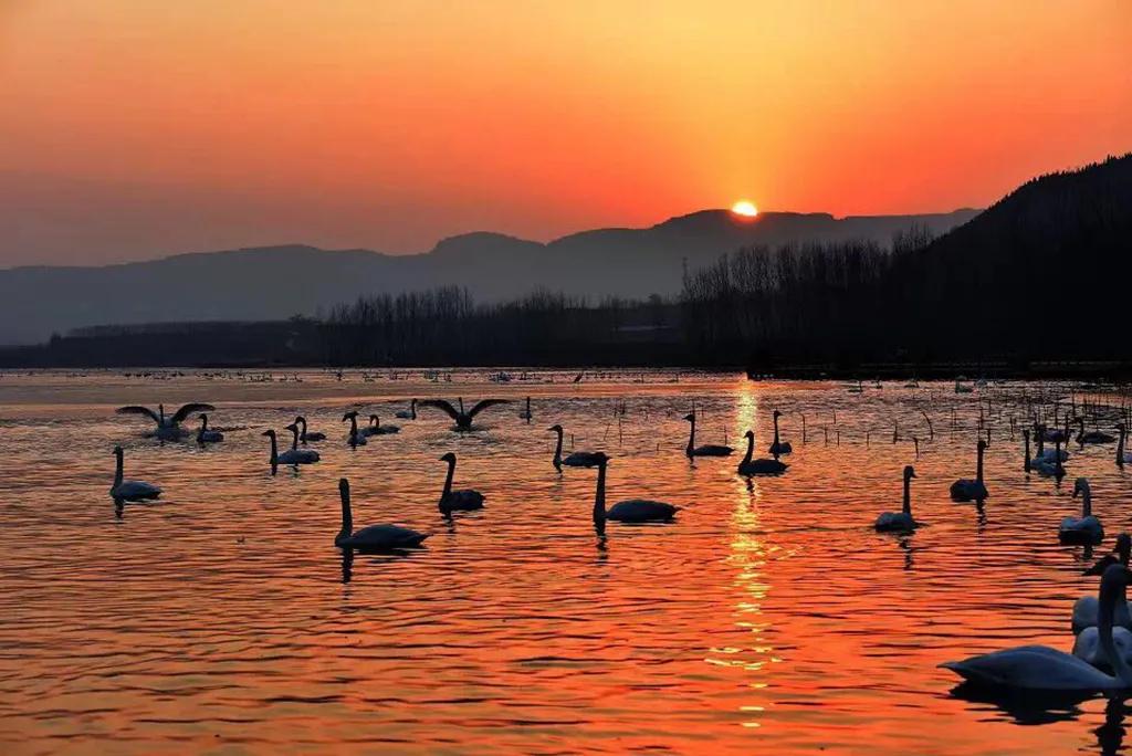 河南传统面食糕点,河南地方的特色面食有多少种呢