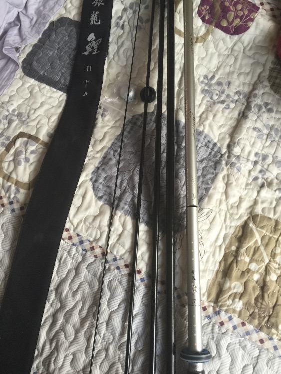 宝飞龙银龙鲤调性,银龙鲤和波纹鲤