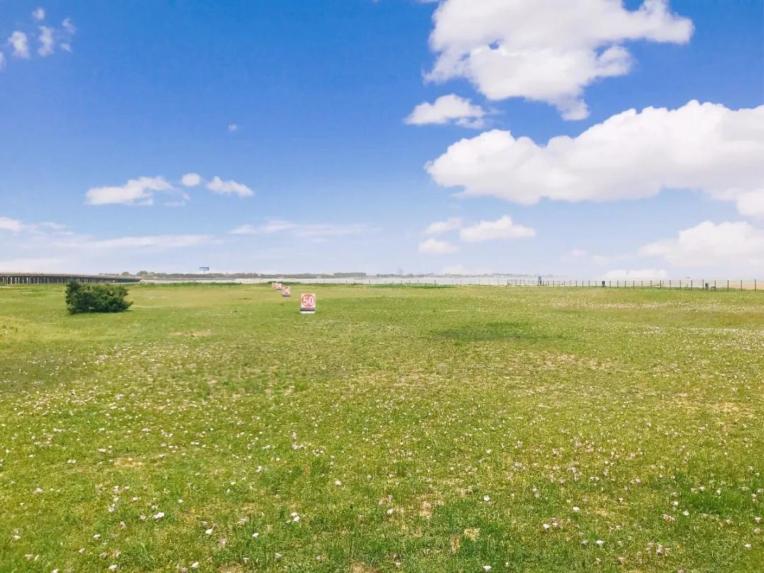 初夏去花海好玩吗,初夏去海边好玩吗