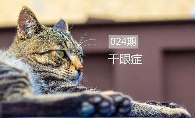 猫咪干眼症怎么治疗最有效,猫咪眼睛老是有干眼屎怎么办