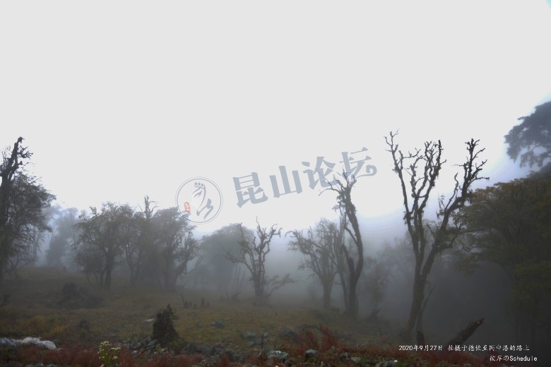 一个人的进藏之旅,一个人一台车旅游的视频