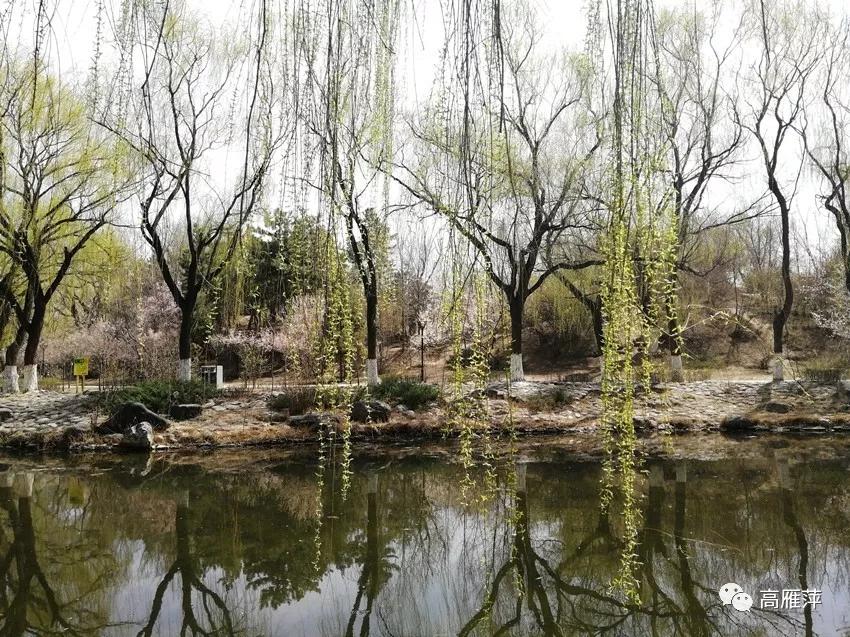 二十四节气春分简介,二十四节气春分谚语