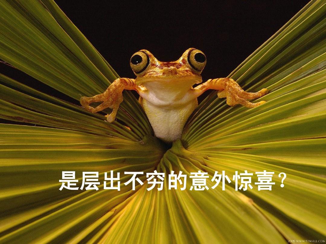 错位创新,错位创新是啥意思