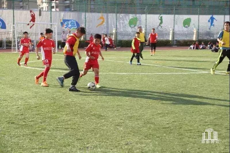 郑州经开区泰和小学怎么样,郑州各区教育资源大比拼中原区