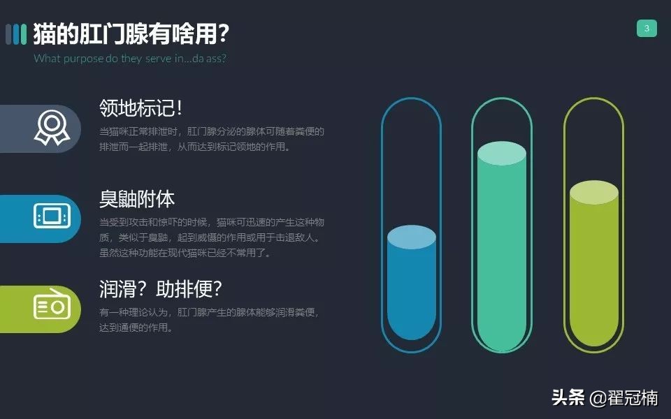 你家猫肛门腺那点事儿...挤?不挤?