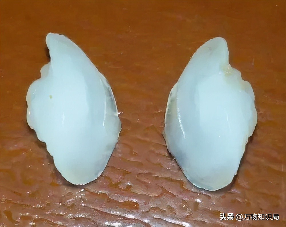 从喂鸡喂鸭到一条11万,我国狠心流放30年,为何还救不起一条鱼?