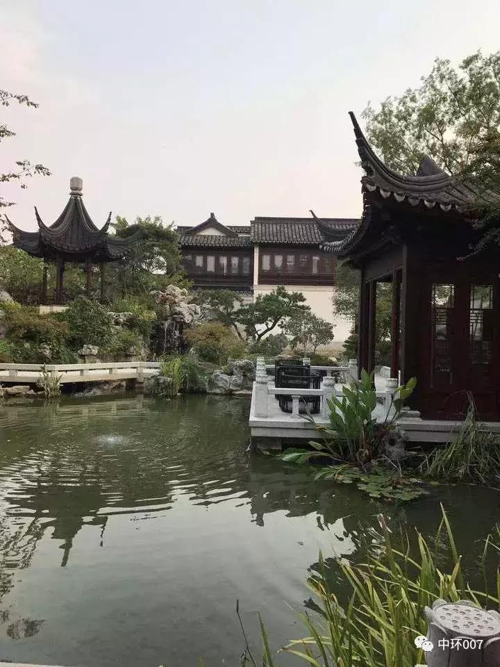 财经女股神,女股神倒在牛市