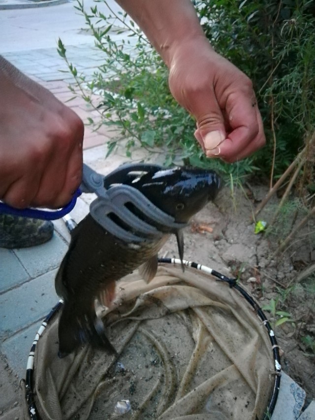 野钓好用的小配件推荐,钓鱼最实用的钓组配件