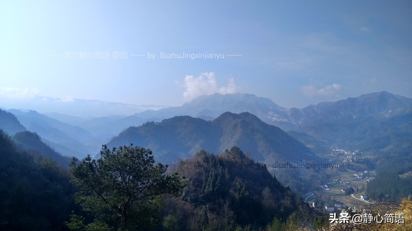 春天在眼前婉约,我们在一朵花前,聆听年少的情丝