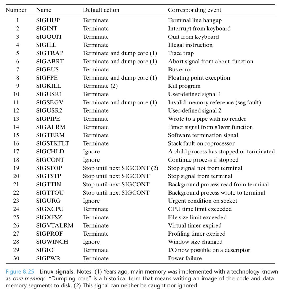 计算机结构和深入理解计算机系统,计算机操作系统实验进程