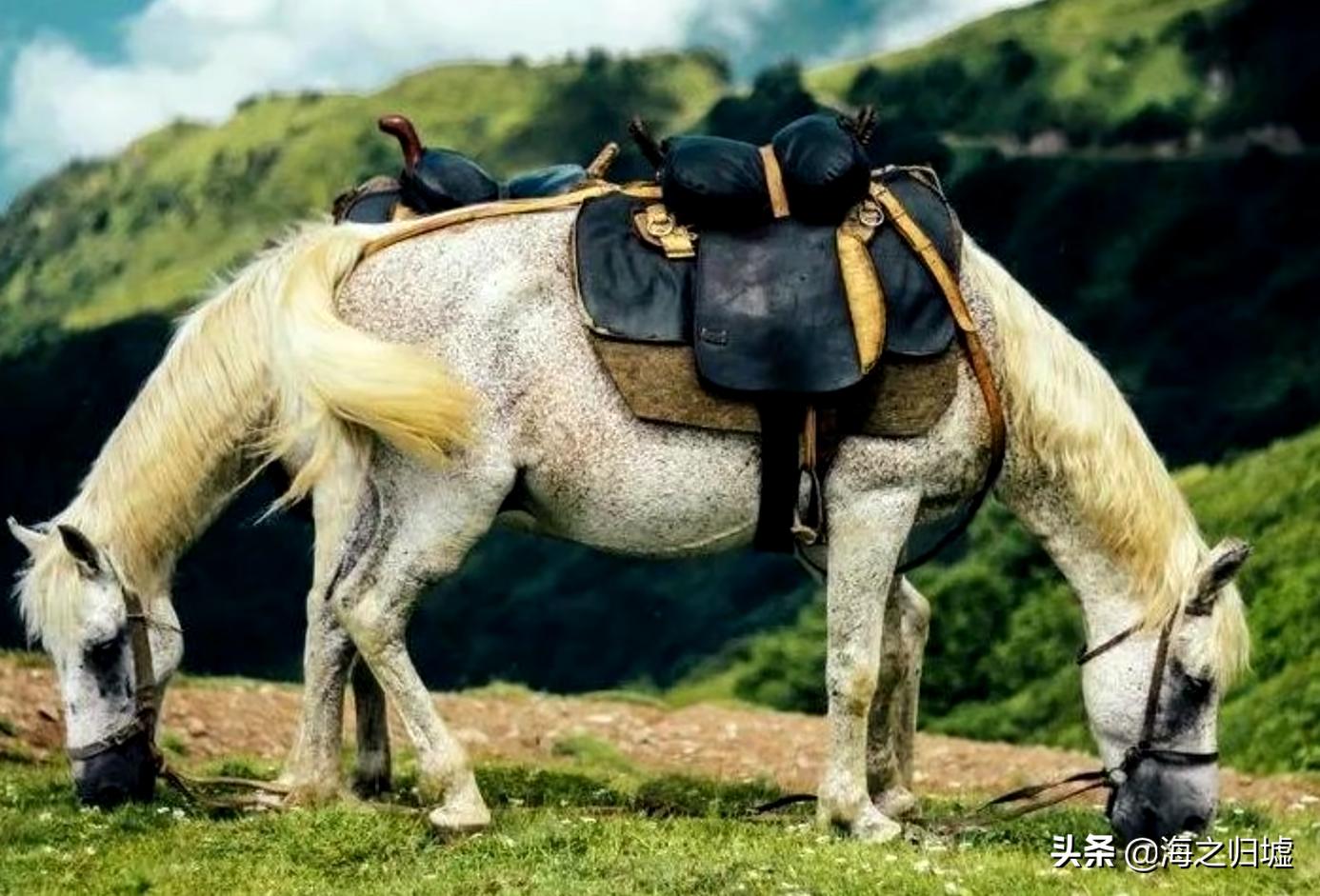 16张不可思议的巧合照片,33张不可思议的巧合照片