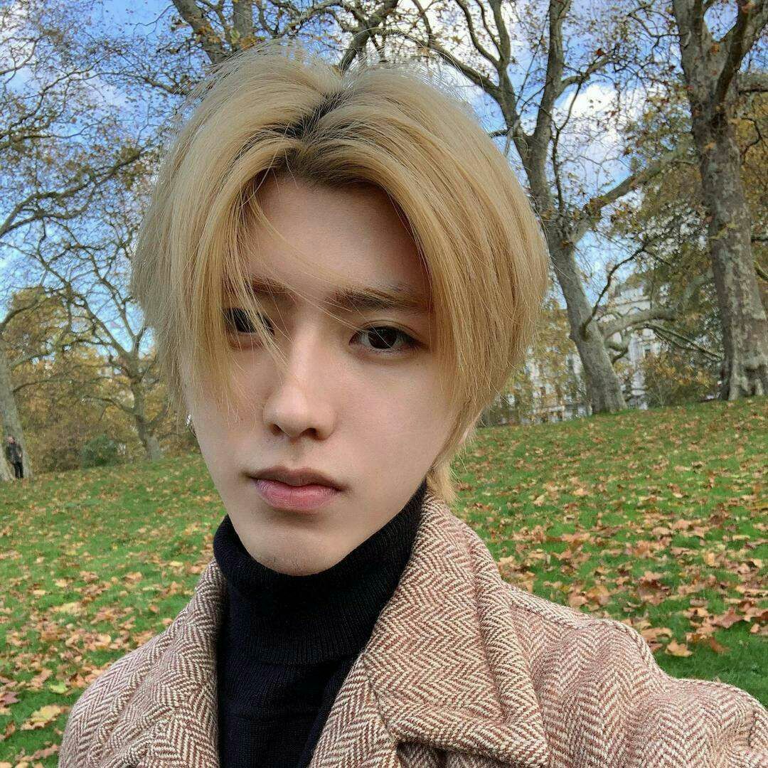 出道即巅峰的蔡徐坤c位,蔡徐坤为什么c位出道被压票