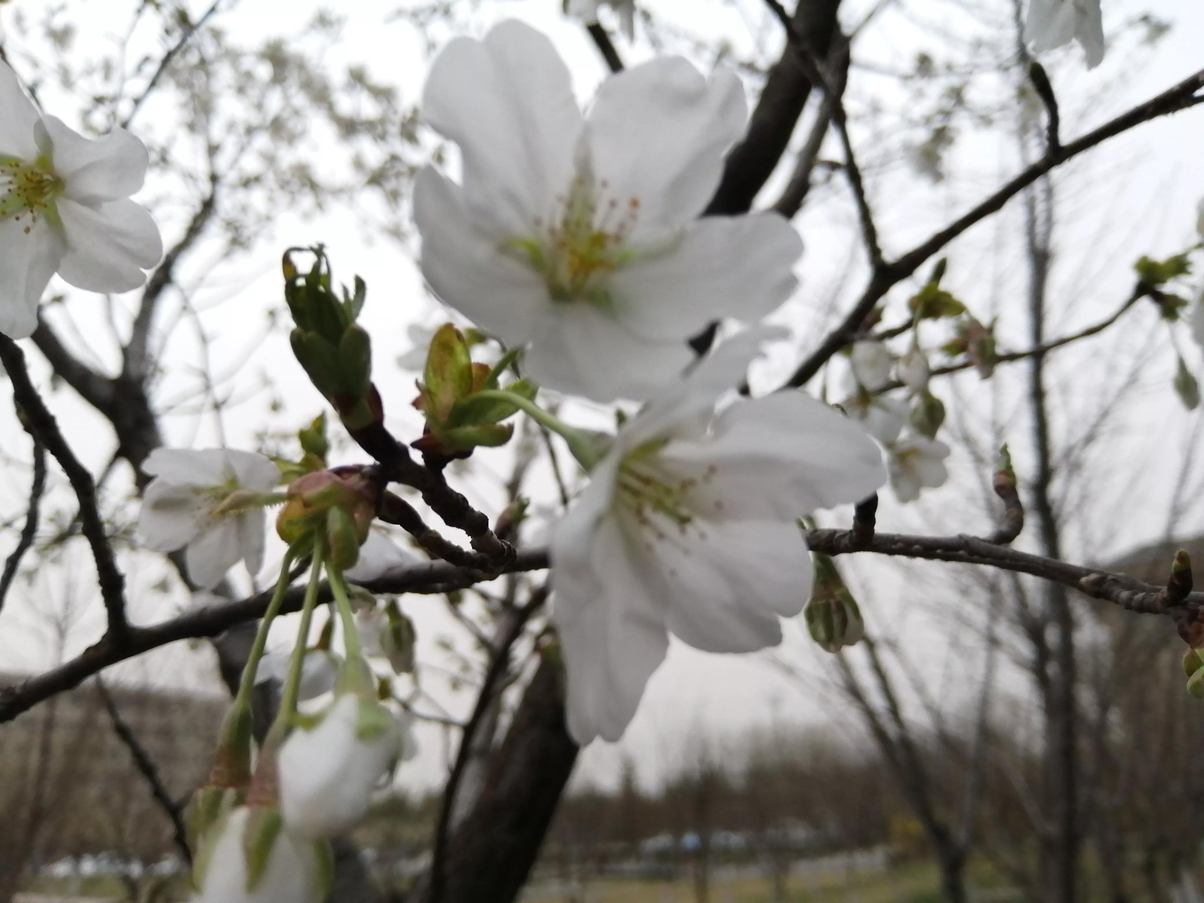 答题卡没涂考号要紧吗,月考没填答题卡